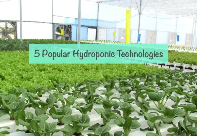 What is Hydroponics? 5 Popular Hydroponic Technologies to Know.